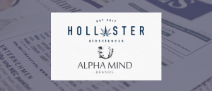 Read more about the article Cannabis Company Hollister Biosciences Signs Letter of Intent to Acquire Mushroom-based Health Company Alphamind Brands
