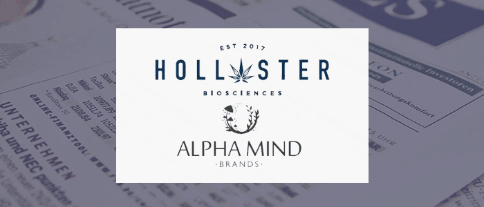 You are currently viewing Cannabis Company Hollister Biosciences Signs Letter of Intent to Acquire Mushroom-based Health Company Alphamind Brands