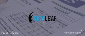 Read more about the article NewLeaf Brands Appoints Former Manager of Ebbu & Co-founder of Mydecine, Damon Michaels, as COO