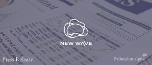 Read more about the article New Wave Holdings Corp (SPOR) to Launch Functional Mushroom Products for the North American Market