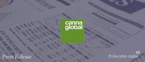 Read more about the article CannaGlobal, Sansero Life Sciences and Rise Wellness Merge to Create a New International Psychedelics Company