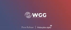 Read more about the article Wuhan General Group Updates on University of Pretoria Research Collaboration for Psilocybin Magic Mushroom Clinical Trials