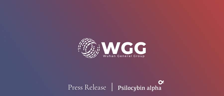 You are currently viewing Wuhan General Group Signs MOA for the Acquisition of Tsime Pharmaceuticals (PTY) Limited