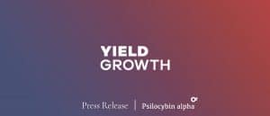 Read more about the article YIELD GROWTH Subsidiary Flourish Mushroom Labs Files for U.S. Patent to use Serotonin Agonists from Psychedelic Mushrooms for Weight Loss