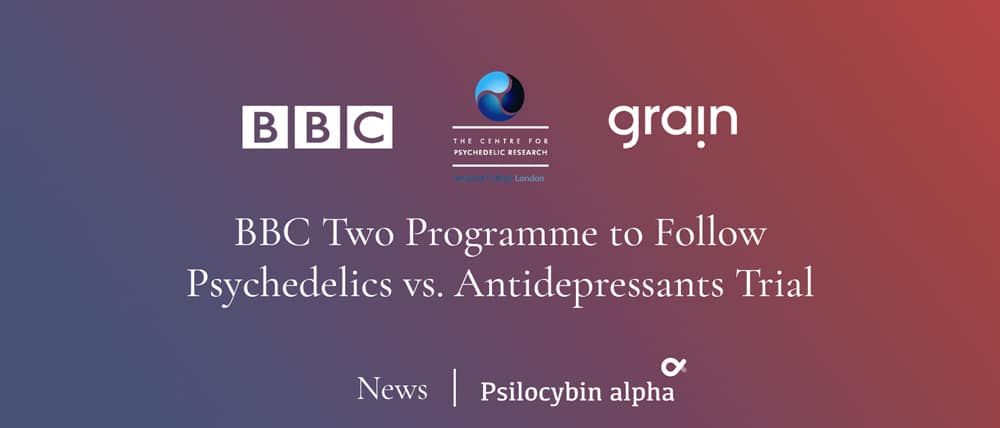 You are currently viewing BBC Two Programme to Follow Psychedelics vs. Antidepressants Trial