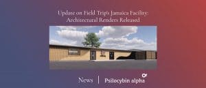 Read more about the article Update on Field Trip’s Jamaica Facility – Architectural Renders Released