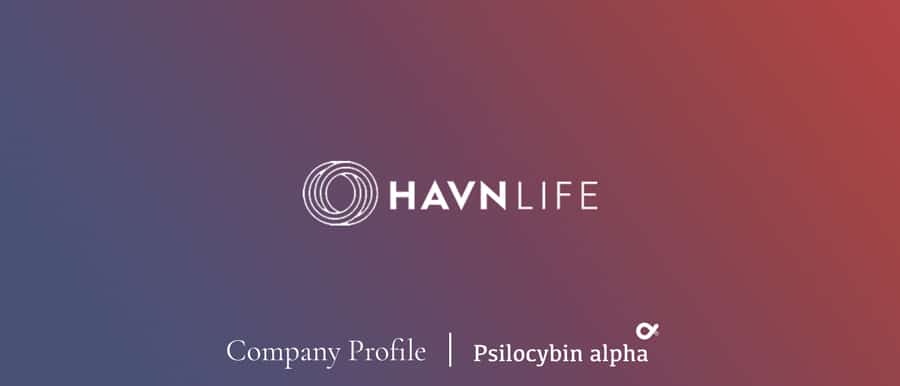 Havn Life Company Profile