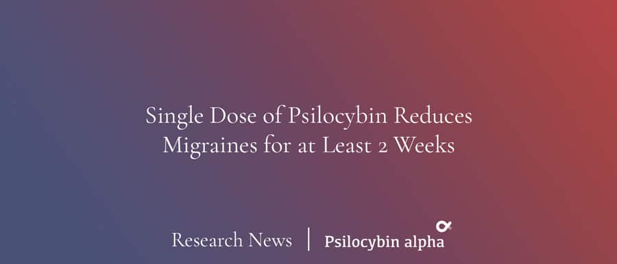 You are currently viewing Single Dose of Psilocybin Reduces Migraines for at Least 2 Weeks