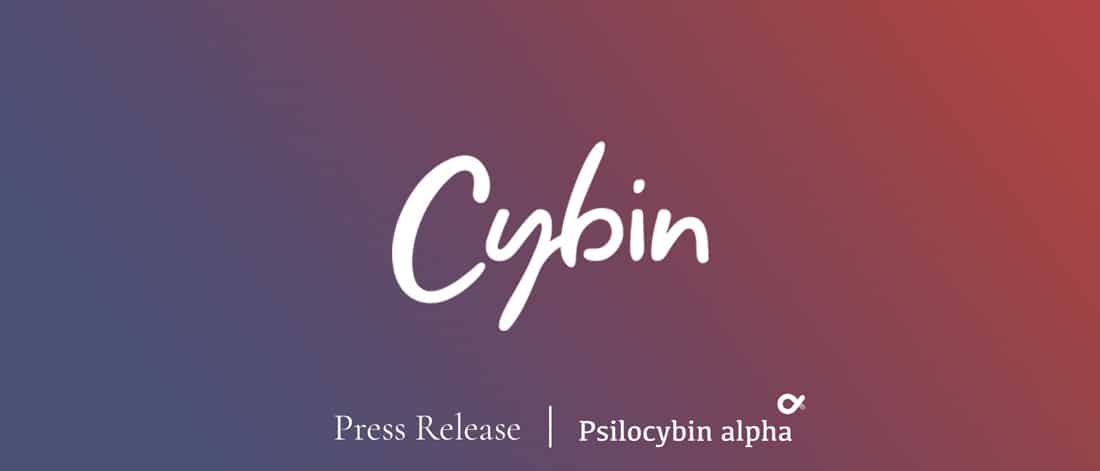 You are currently viewing Cybin Hosting Research and Development Briefing on November 8, 2021