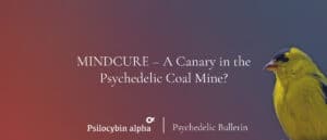 Read more about the article Psychedelic Bulletin: MINDCURE – A Canary in the Psychedelic Coal Mine?