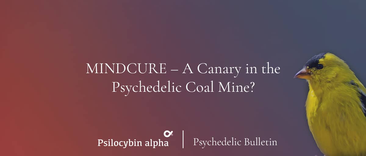 You are currently viewing Psychedelic Bulletin: MINDCURE – A Canary in the Psychedelic Coal Mine?
