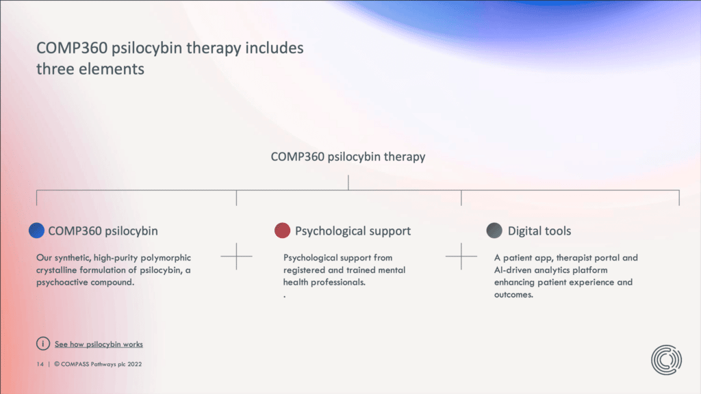 COMP360 Psilocybin Therapy Explained