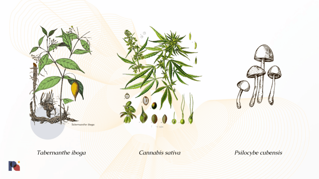Plants and fungi of interest to Empyrean