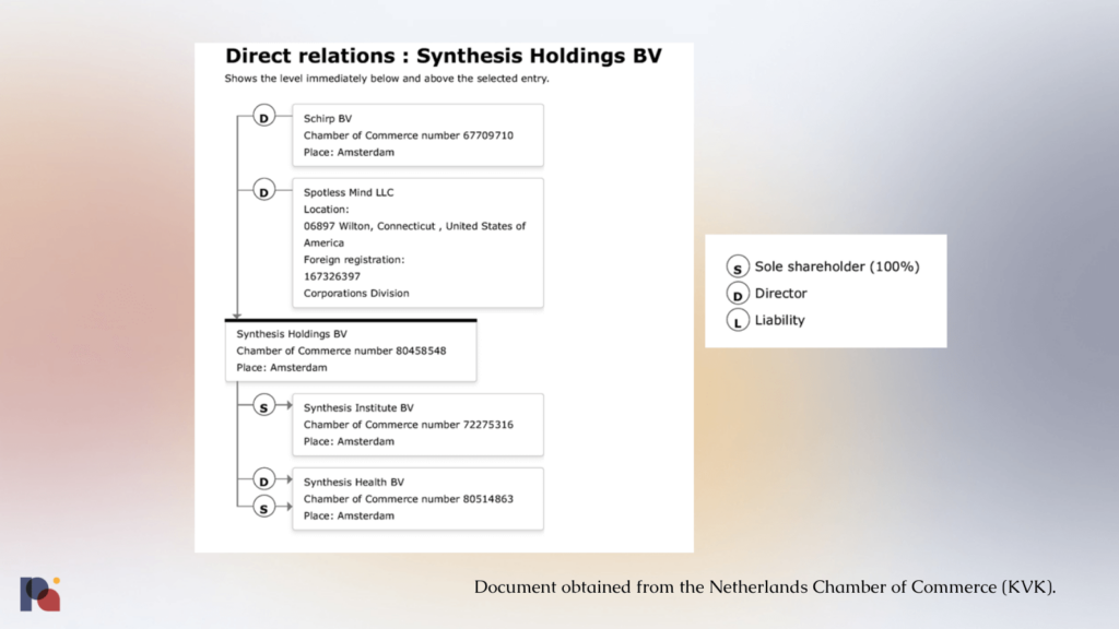 Synthesis Holdings BV Structure