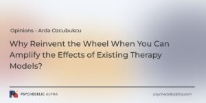 Read more about the article Opinions | Why Reinvent the Wheel When You Can Amplify the Effects of Existing Therapy Models?