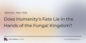 Read more about the article Does Humanity’s Fate Lie in the Hands of the Fungal Kingdom?