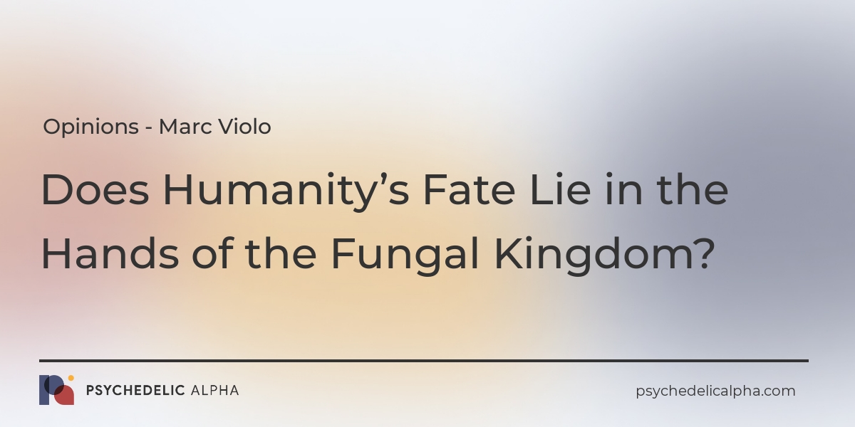 You are currently viewing Does Humanity’s Fate Lie in the Hands of the Fungal Kingdom?
