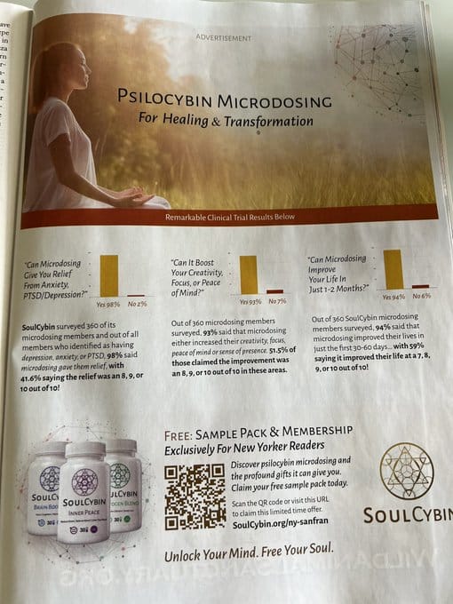 SoulCybin Advert