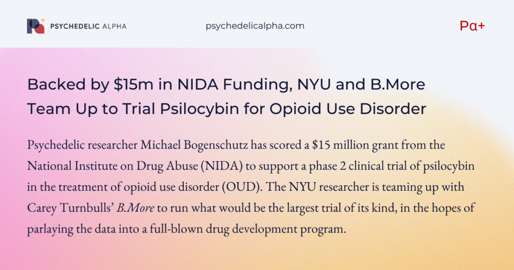Backed by $15m in NIDA Funding, NYU and B.More Team Up to Trial Psilocybin for Opioid Use Disorder