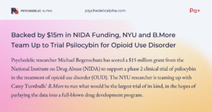 Read more about the article Backed by $15m in NIDA Funding, NYU and B.More Team Up to Trial Psilocybin for Opioid Use Disorder