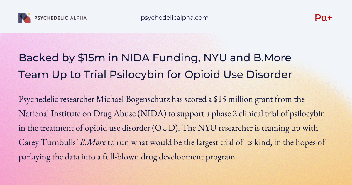 You are currently viewing Backed by $15m in NIDA Funding, NYU and B.More Team Up to Trial Psilocybin for Opioid Use Disorder